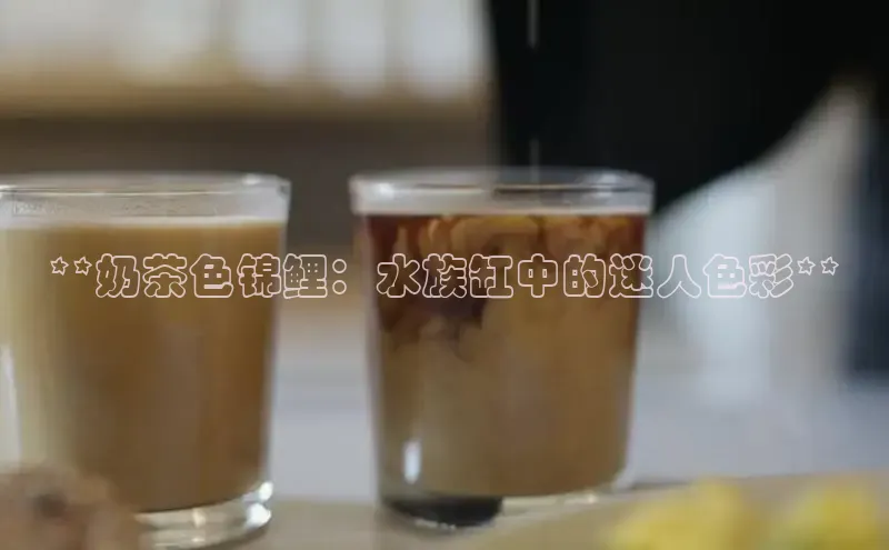 凯捷体育百度营销中心