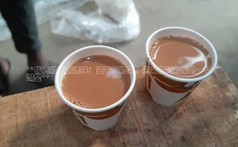 凯捷体育百度人工翻译