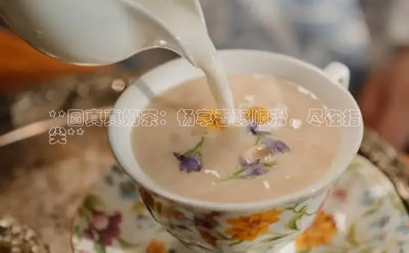 凯捷体育梯哥哥科技